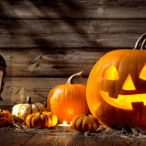 Pumpkins being used as decorations in front of a visitor attraction