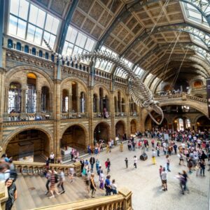 Busy Museum being supported by visitor attraction management